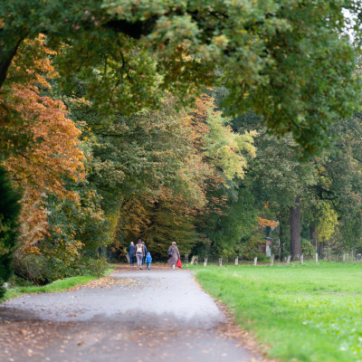 Fußweg gesäumt von einer Wiese rechts und großen Bäumen links, spazierende Menschen in der Ferne