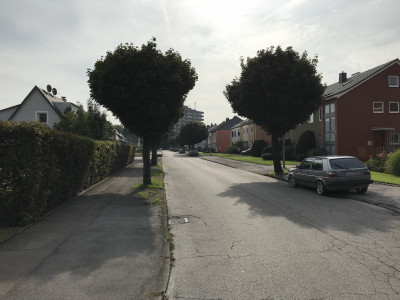 Foto einer Straße in einer Wohnsiedlung, Bäume, Häuser und ein parkendes Auto