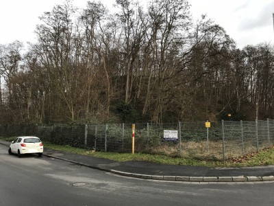 Eine Straßenkurve neben einem abgezäunten Waldgebiet, ein Auto parkt