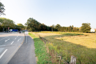 Freie Grünfläche neben einer Straße