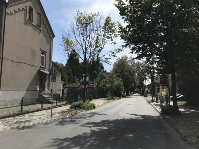 Blick in die Straße einer Wohnsiedlung, von hohen Bäumen gesäumt