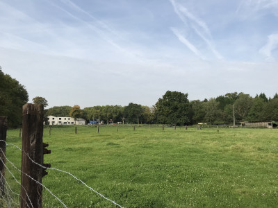 Feld mit einer Grünen Wiese, eingezäunt, im Hintergrund ein Wohnhaus